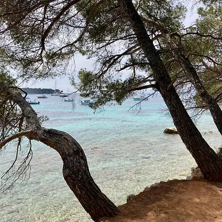 Centre Emplacement Exceptionnel Cannes